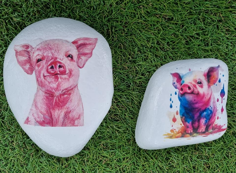 PIG 1002
