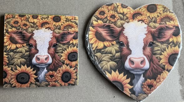 COW 31001
