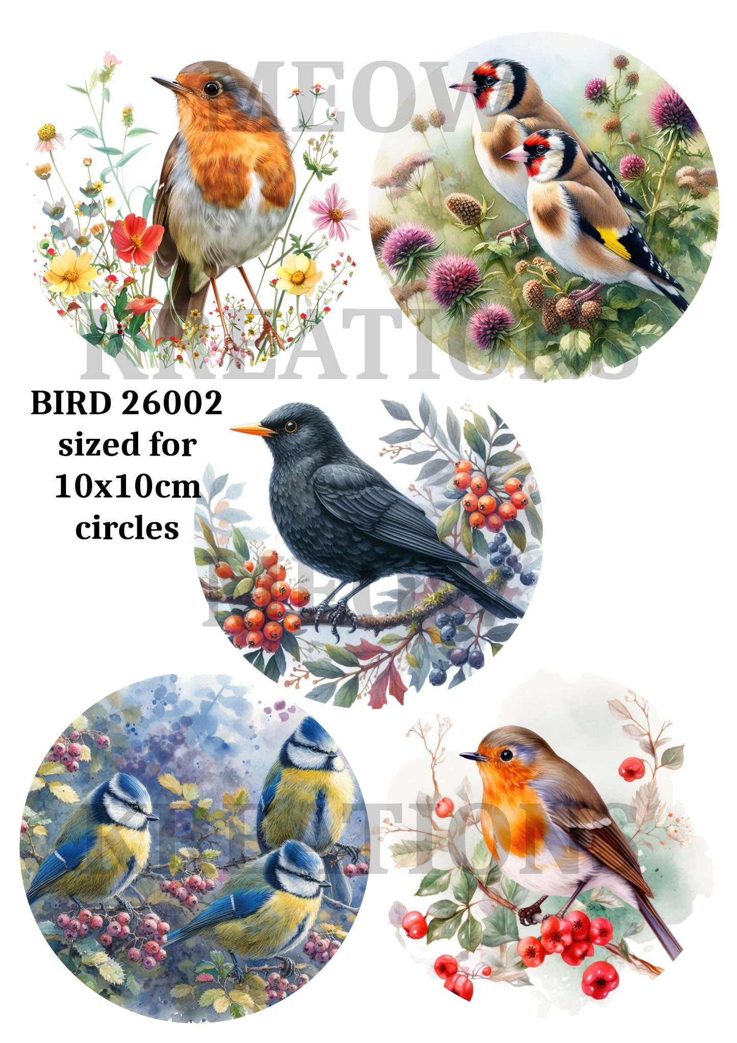 BIRD 26002