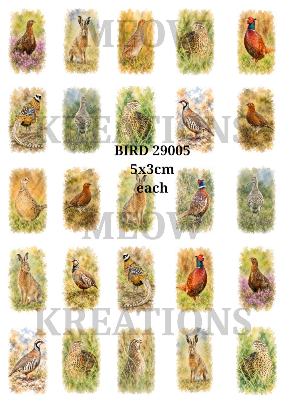BIRD 29005