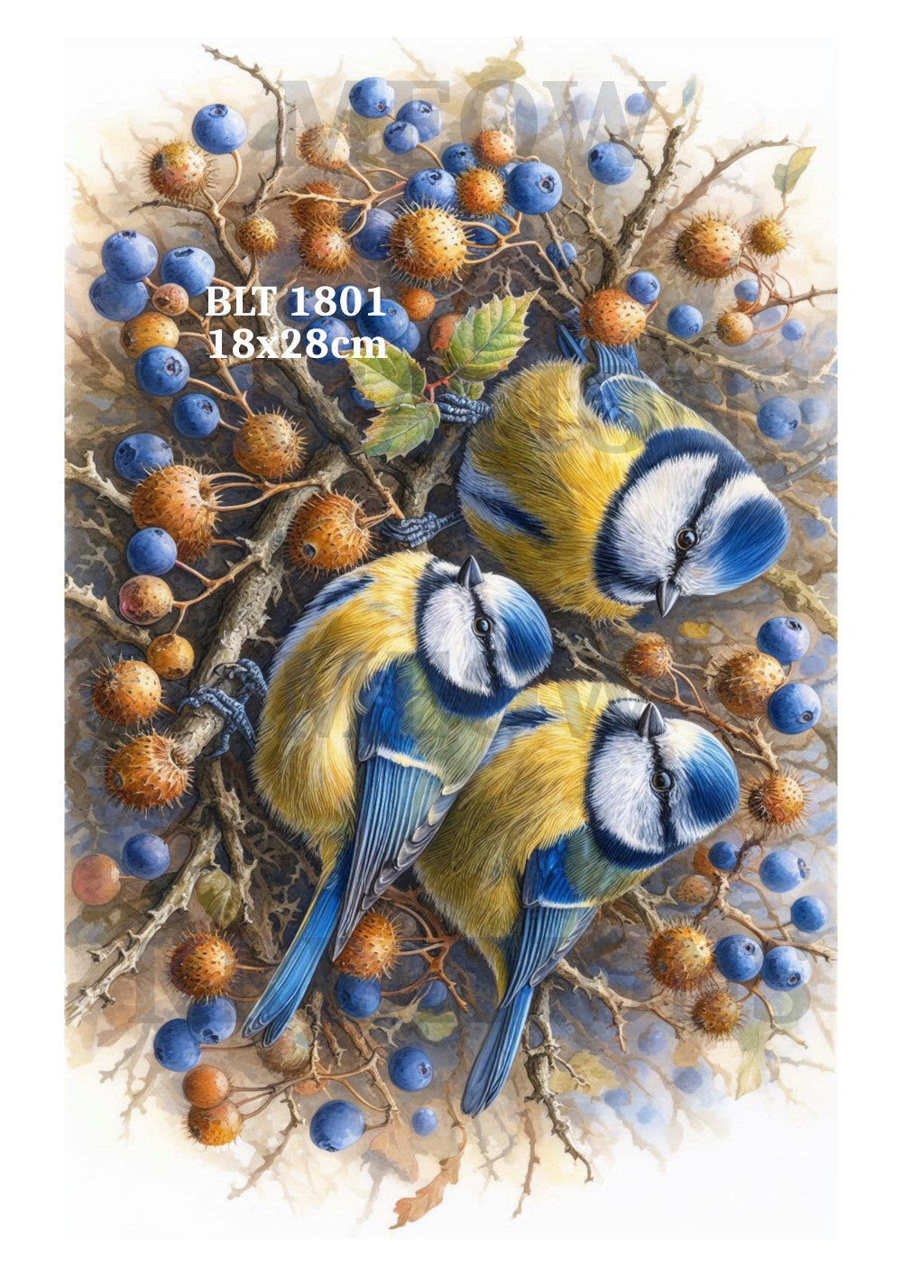 BLT 1801