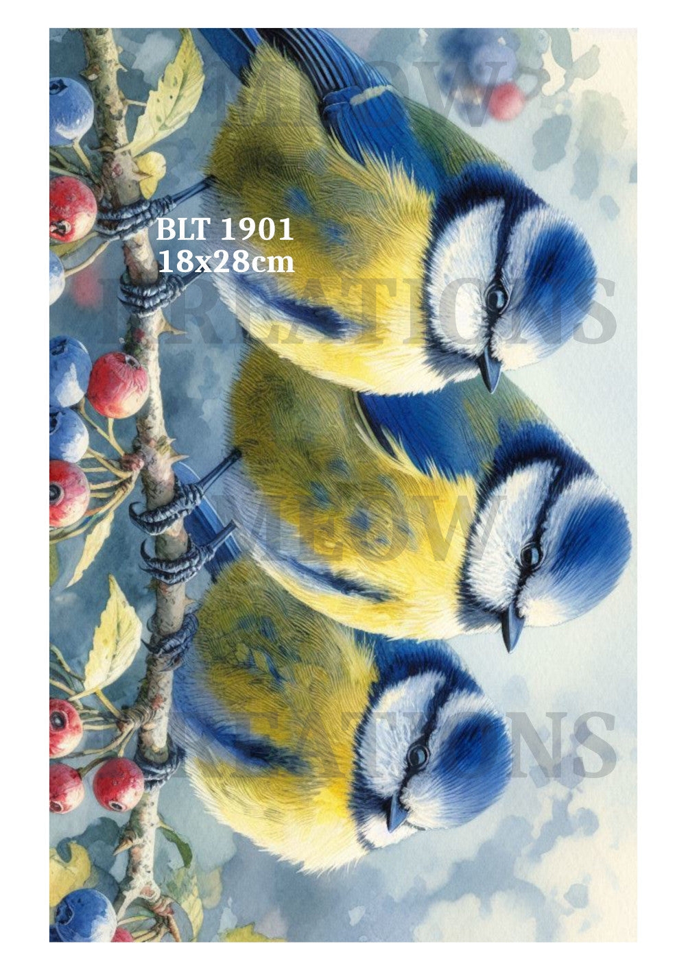 BLT 1901