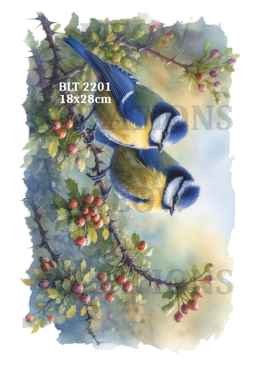 BLT 2201