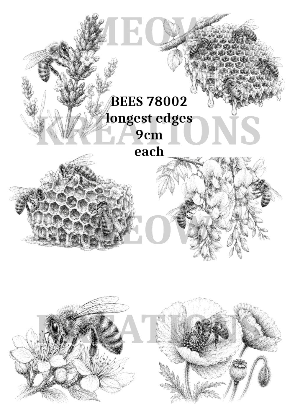 BEES 79002