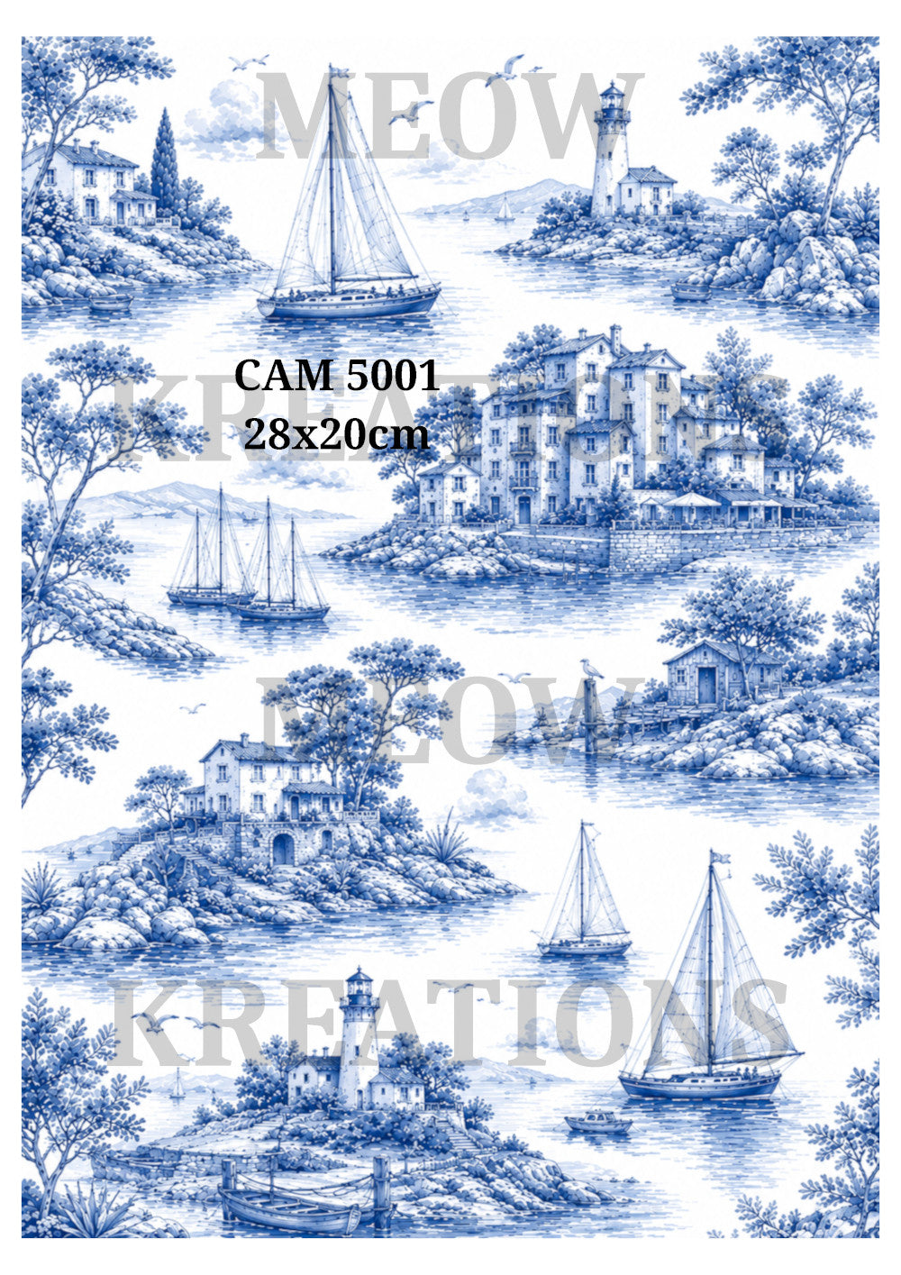 CAM 5001