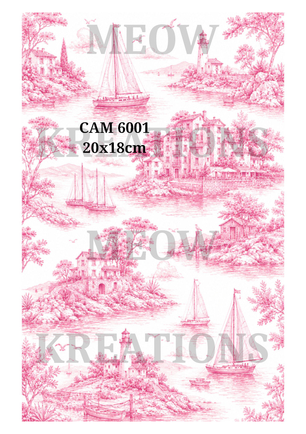 CAM 6001