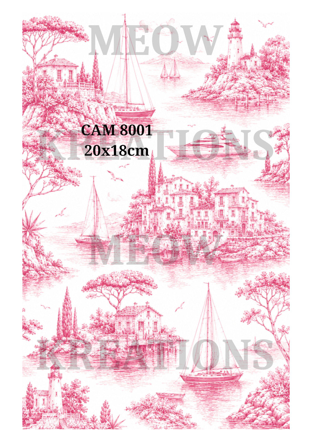 CAM 8001