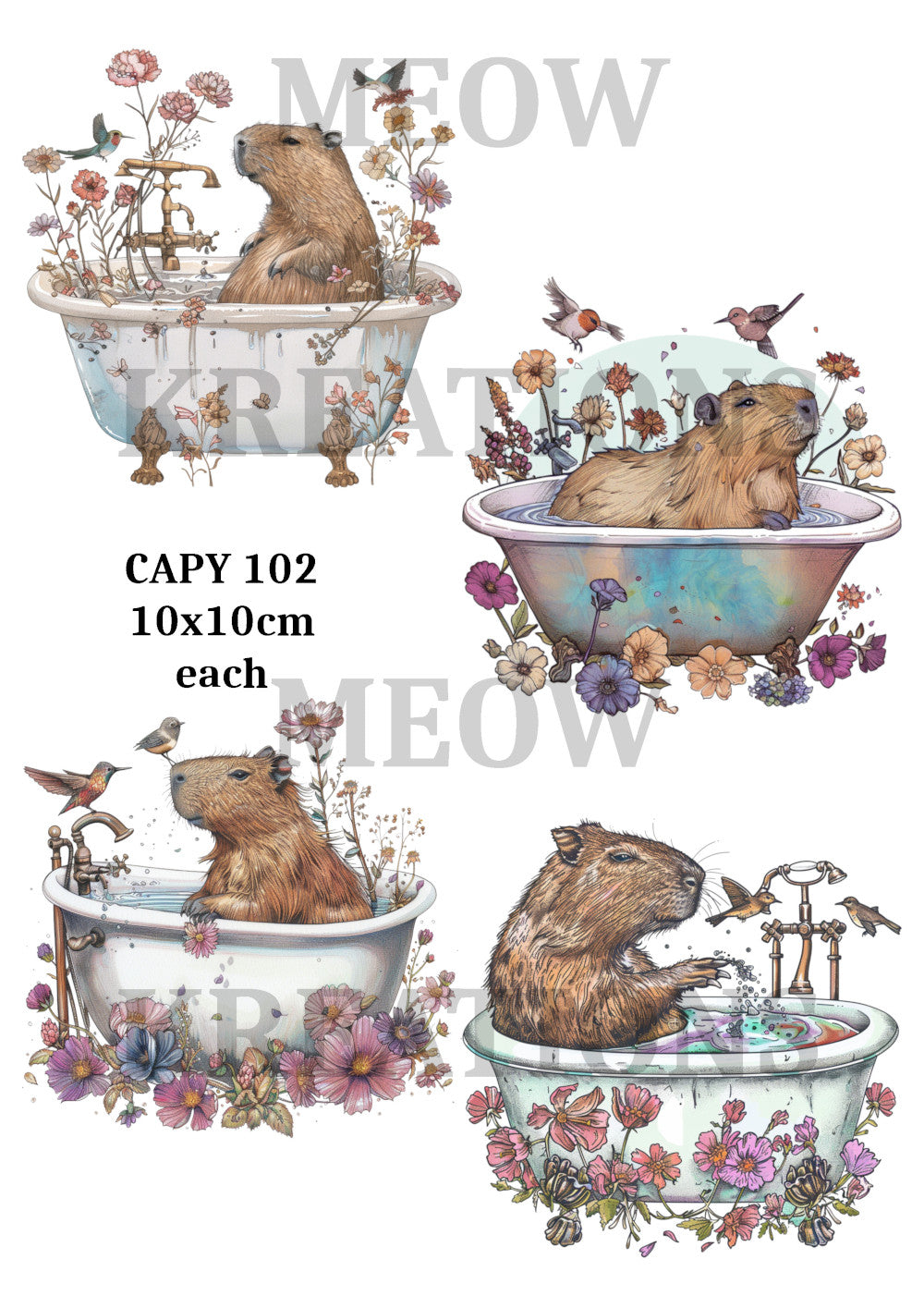 CAPY 102