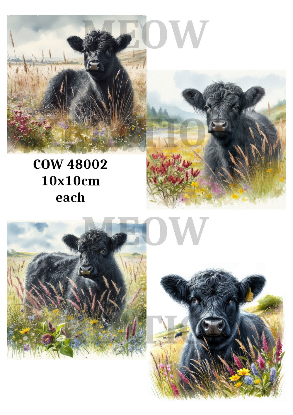 COW 48002