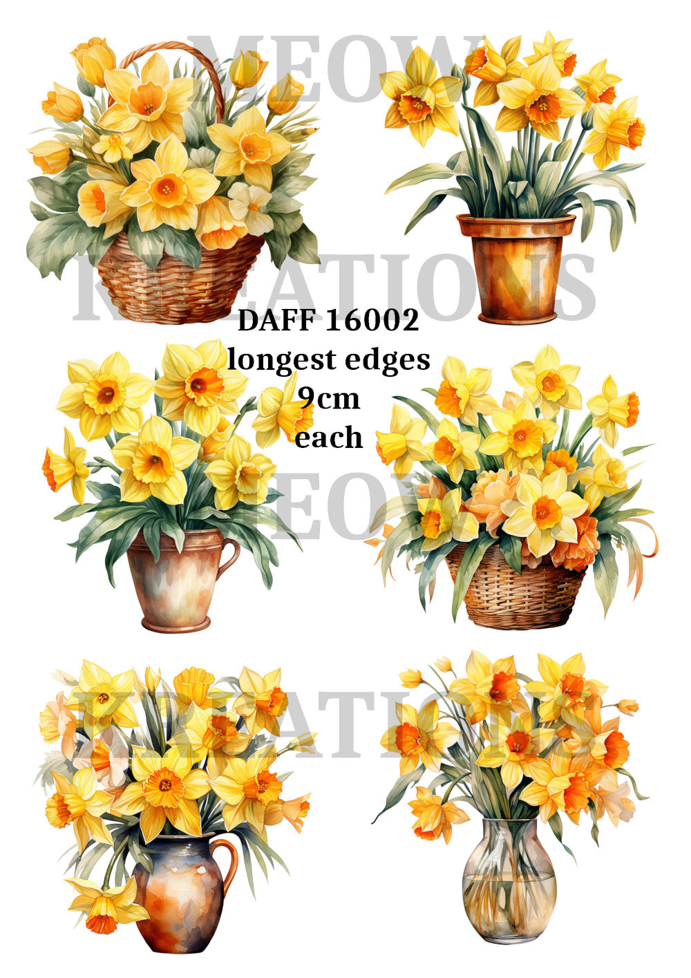DAFF 16002