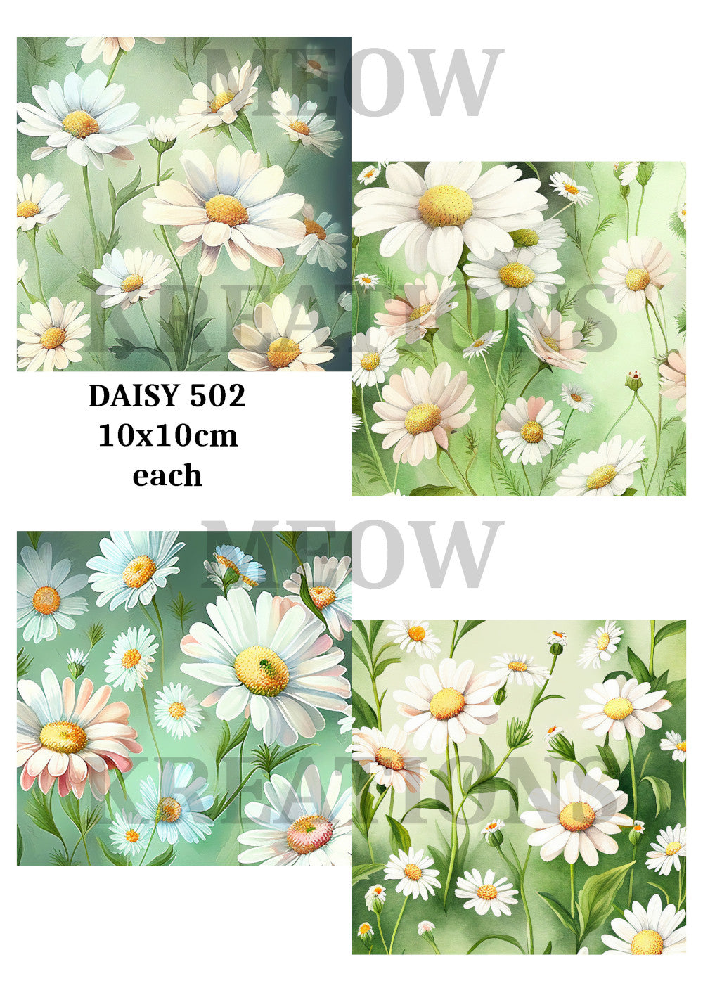 DAISY 502
