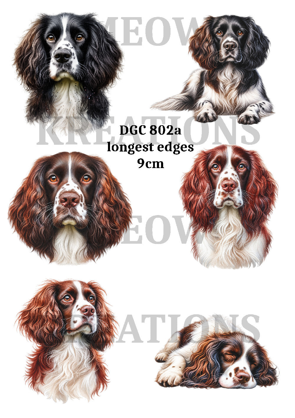 Watercolor Spaniel Dog, English Springer Decoupage Rice Paper - DGC 802a