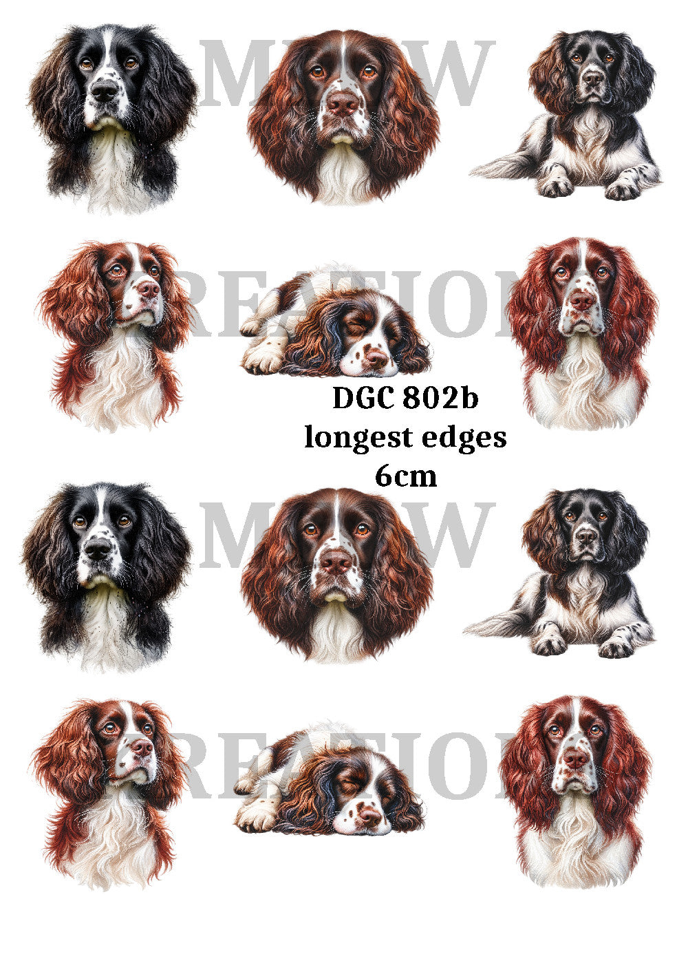 Watercolor Spaniel Dog, English Springer Decoupage Rice Paper - DGC 802b