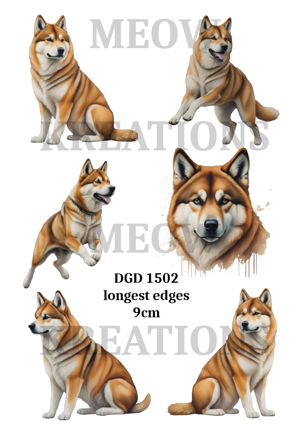 DGD 1502