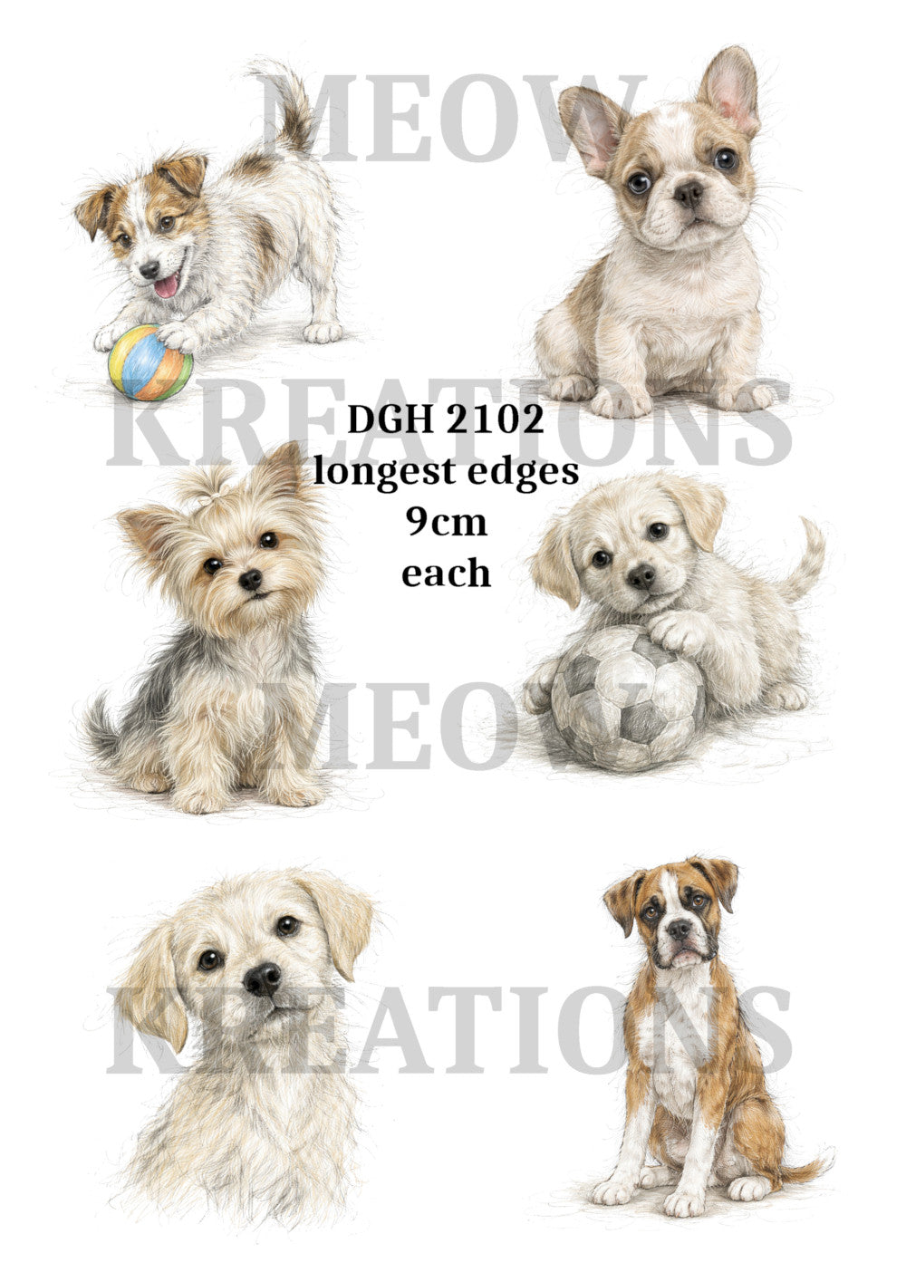 DGH 2102