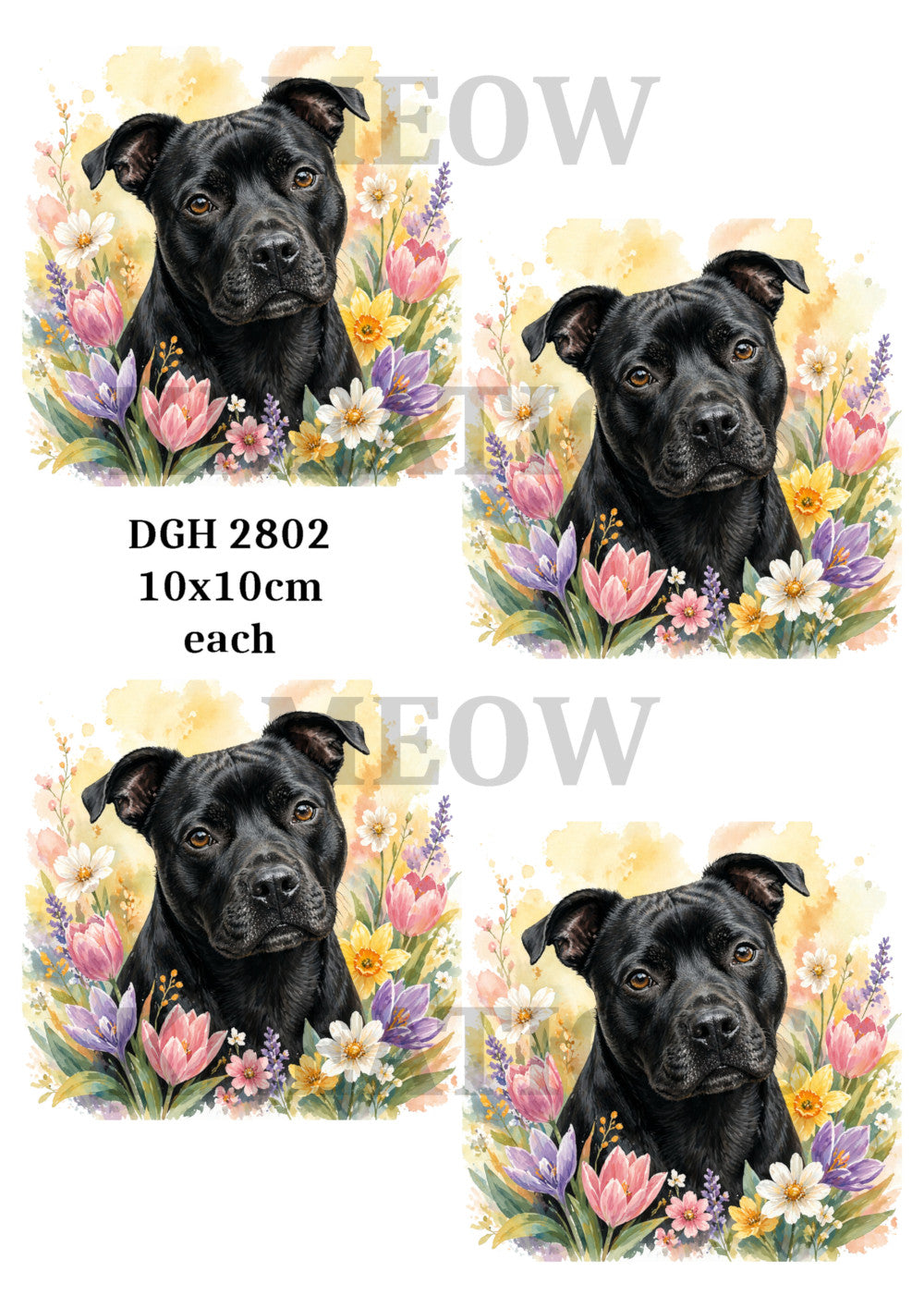 DGH 2802