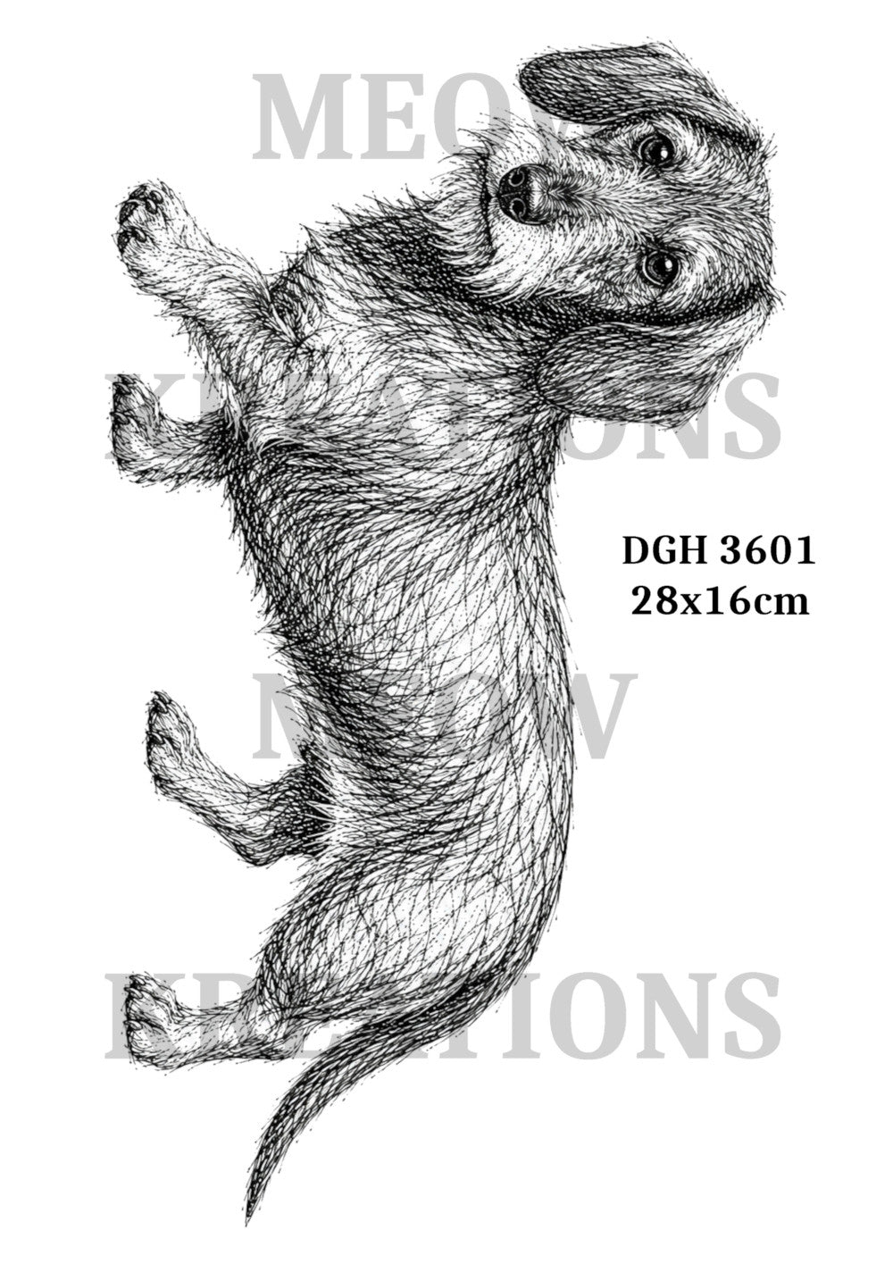 DGH 3601