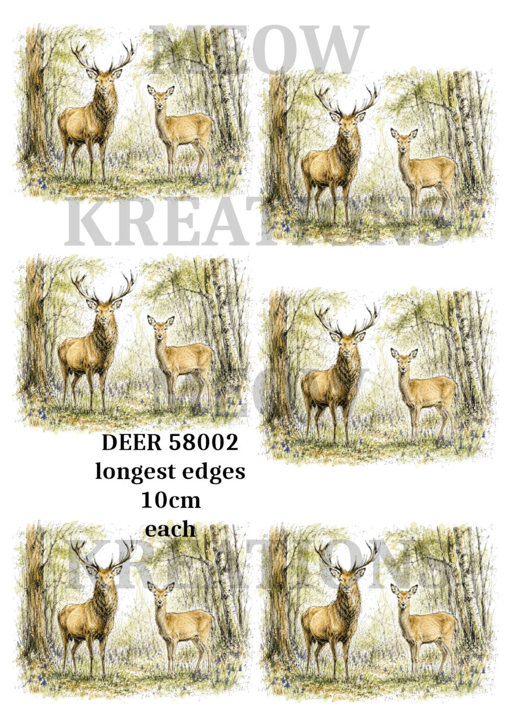 DEER 58002
