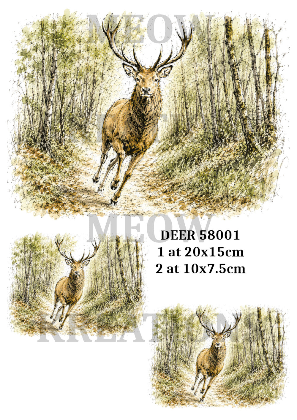 DEER 59001