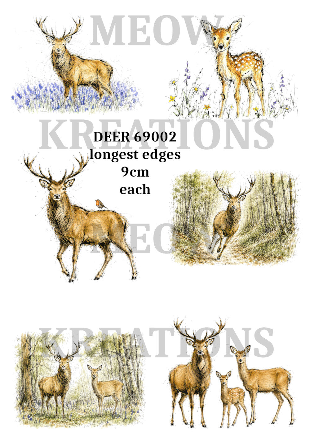 DEER 69002