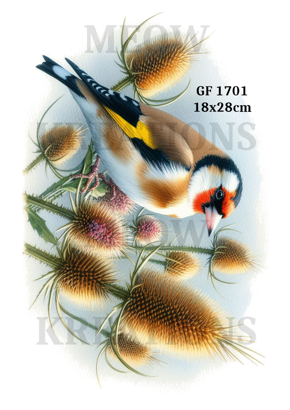 GF 1701