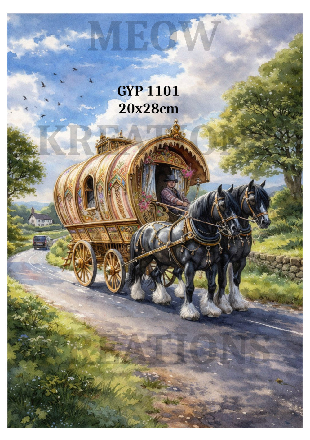 GYP 1101