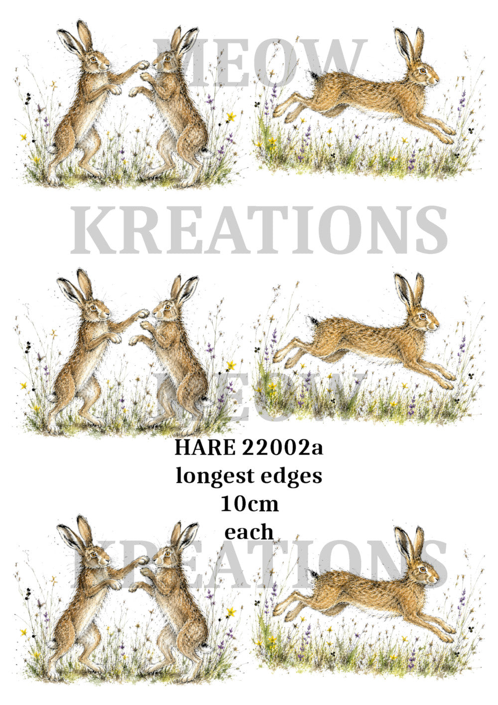 HARE 22002a