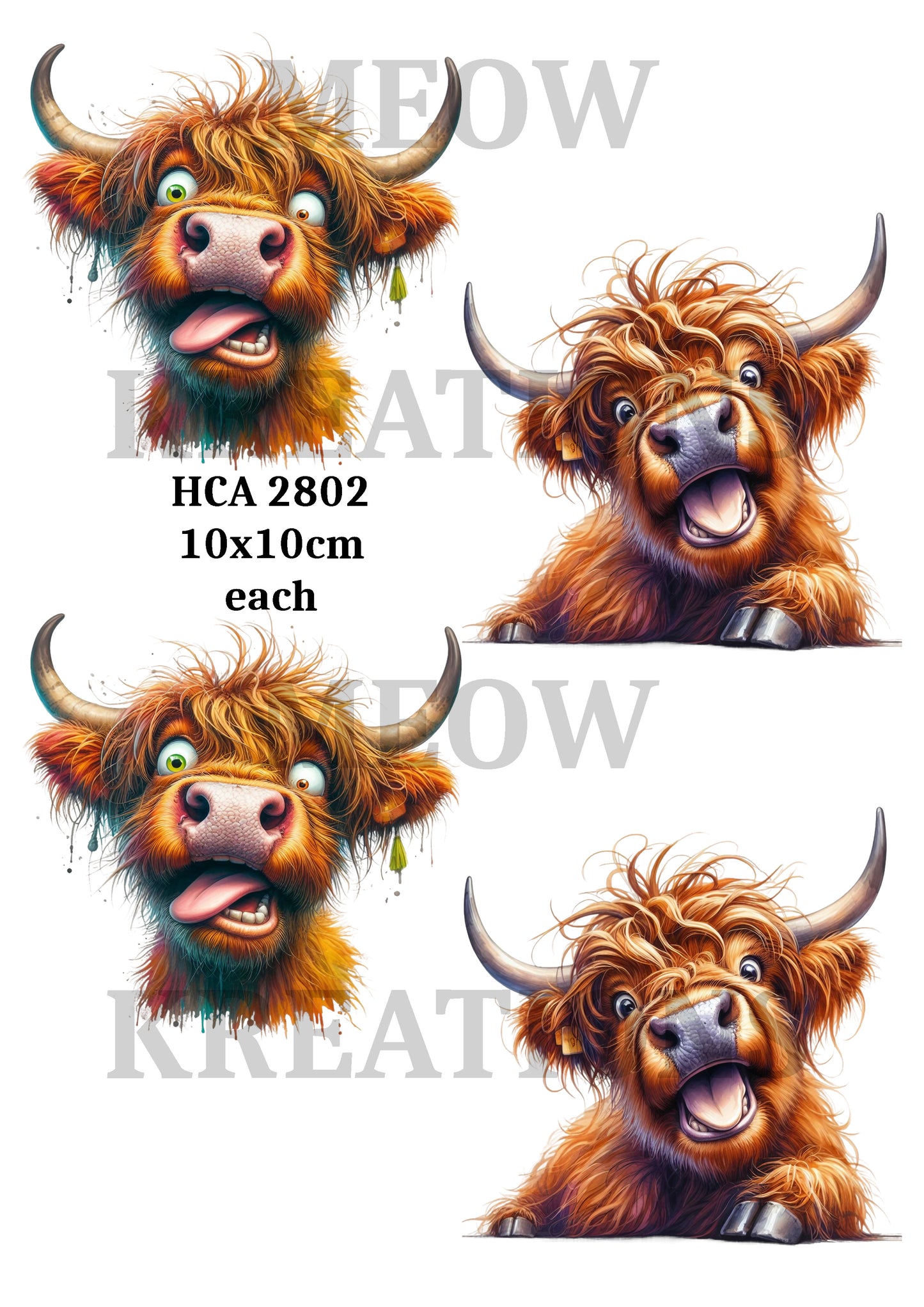 HCA 2802