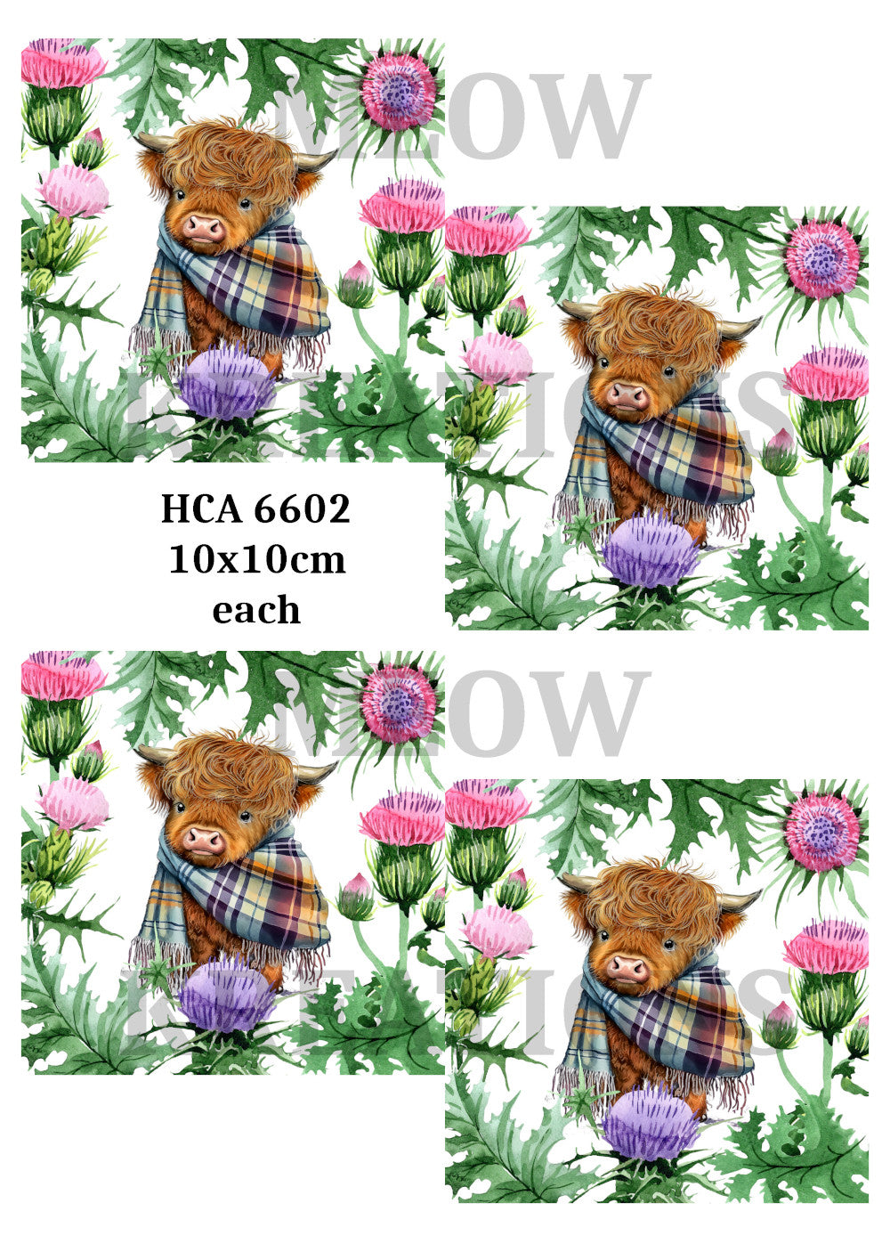 HCA 6602