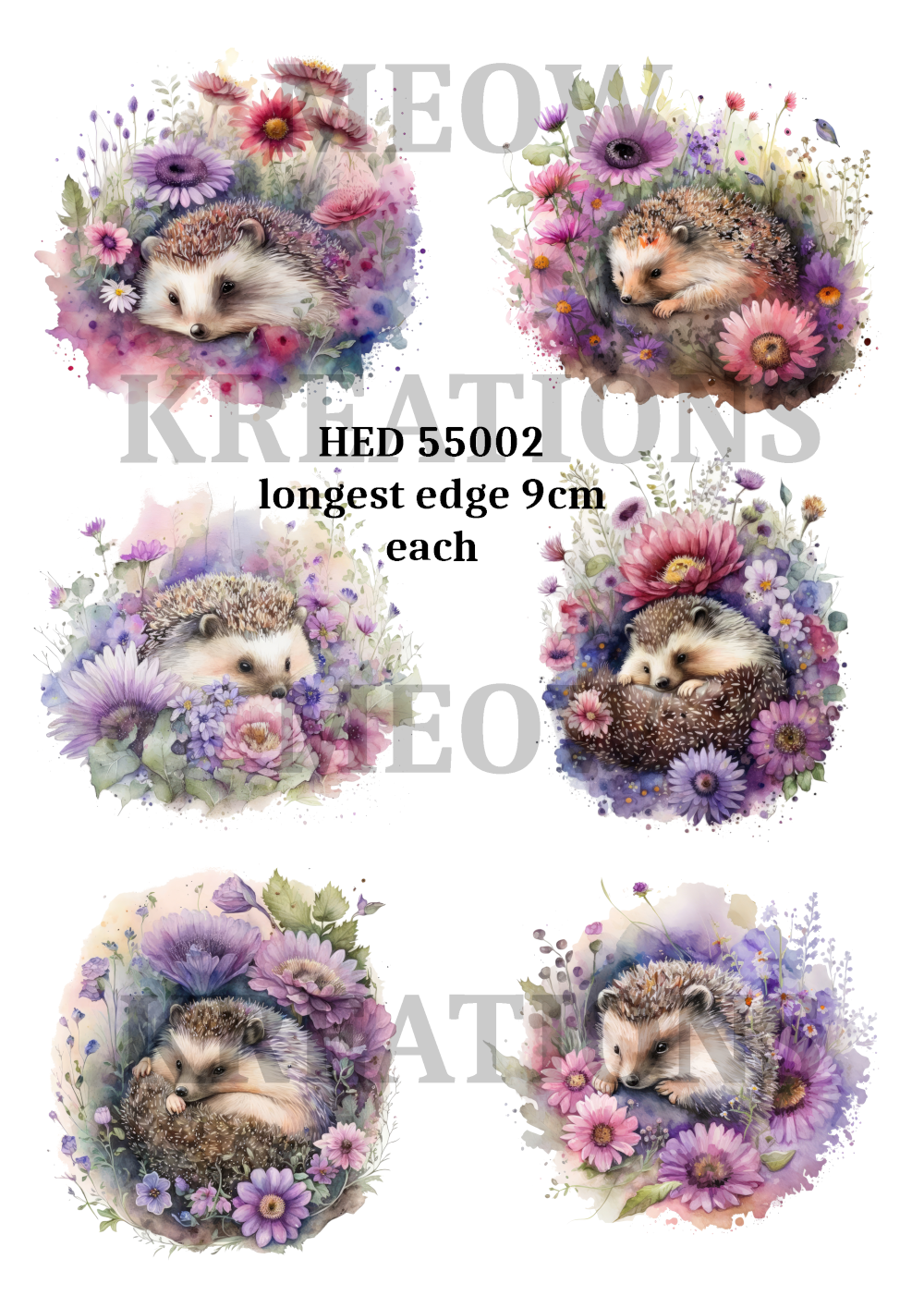 HED 55002