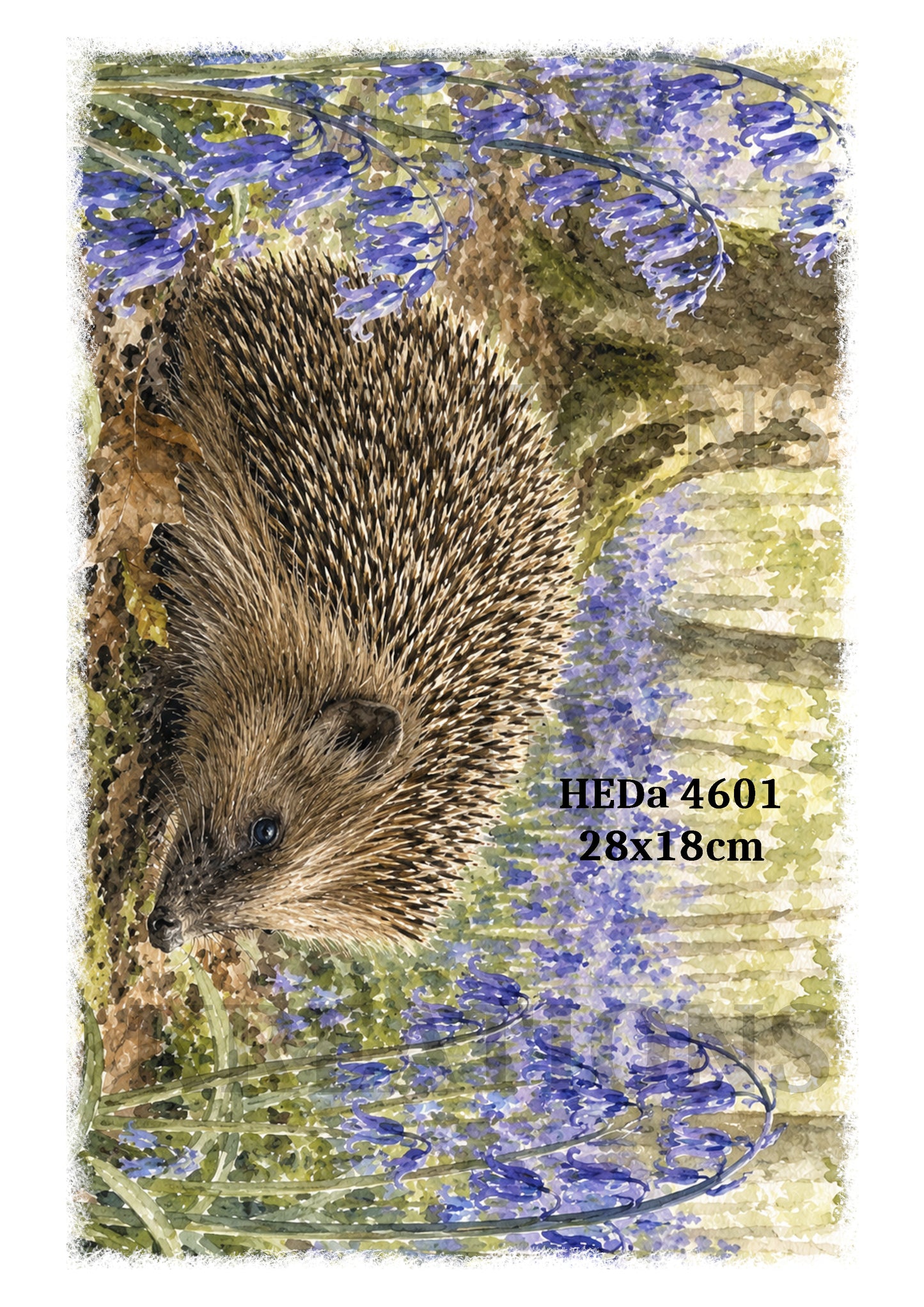 HEDa 4601