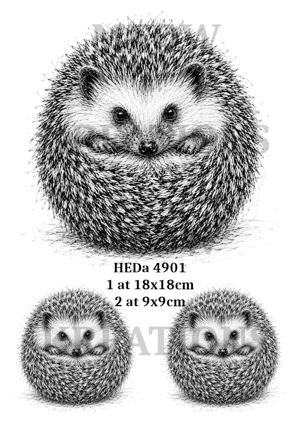 HEDa 4901