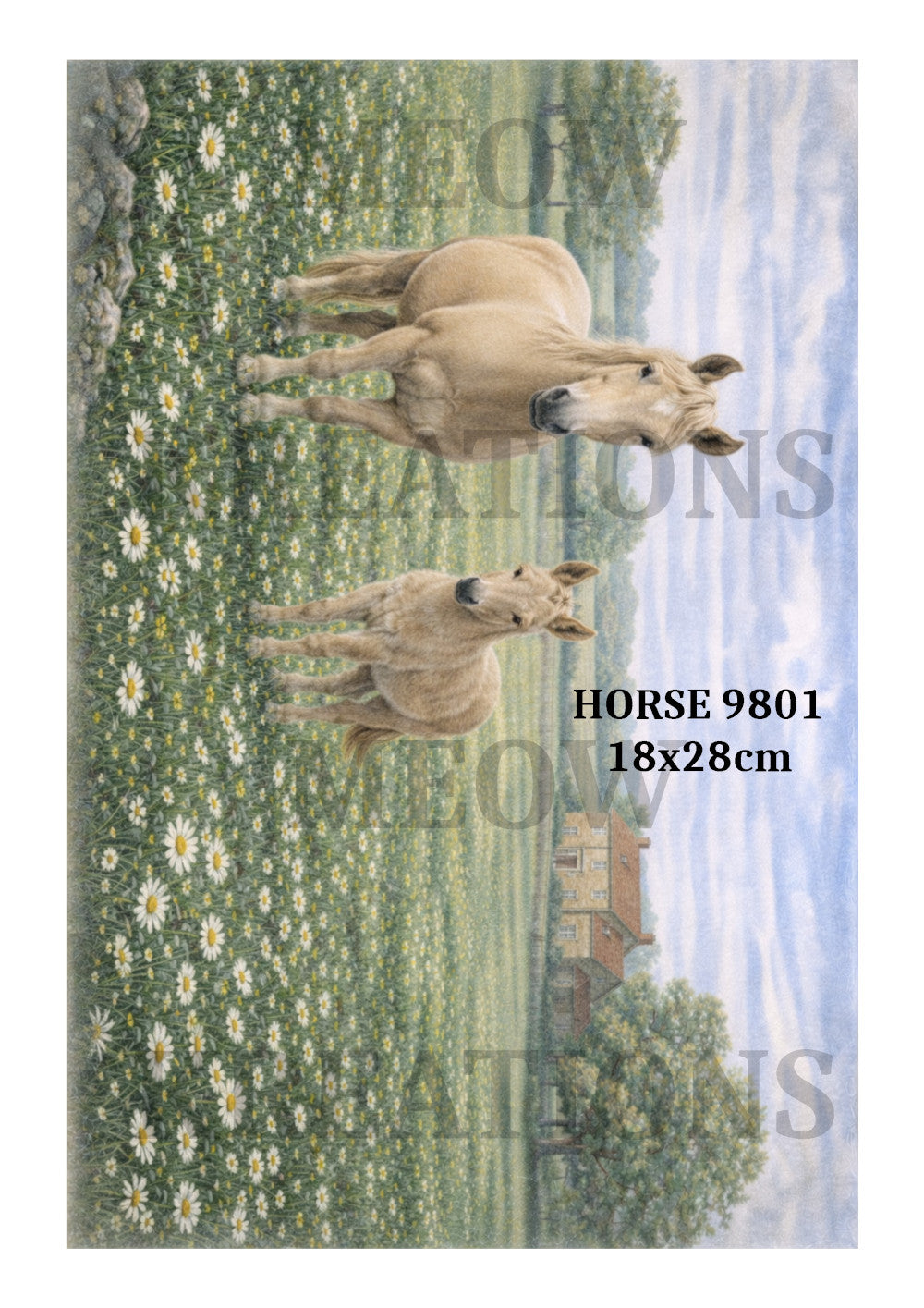 HORSE 9801