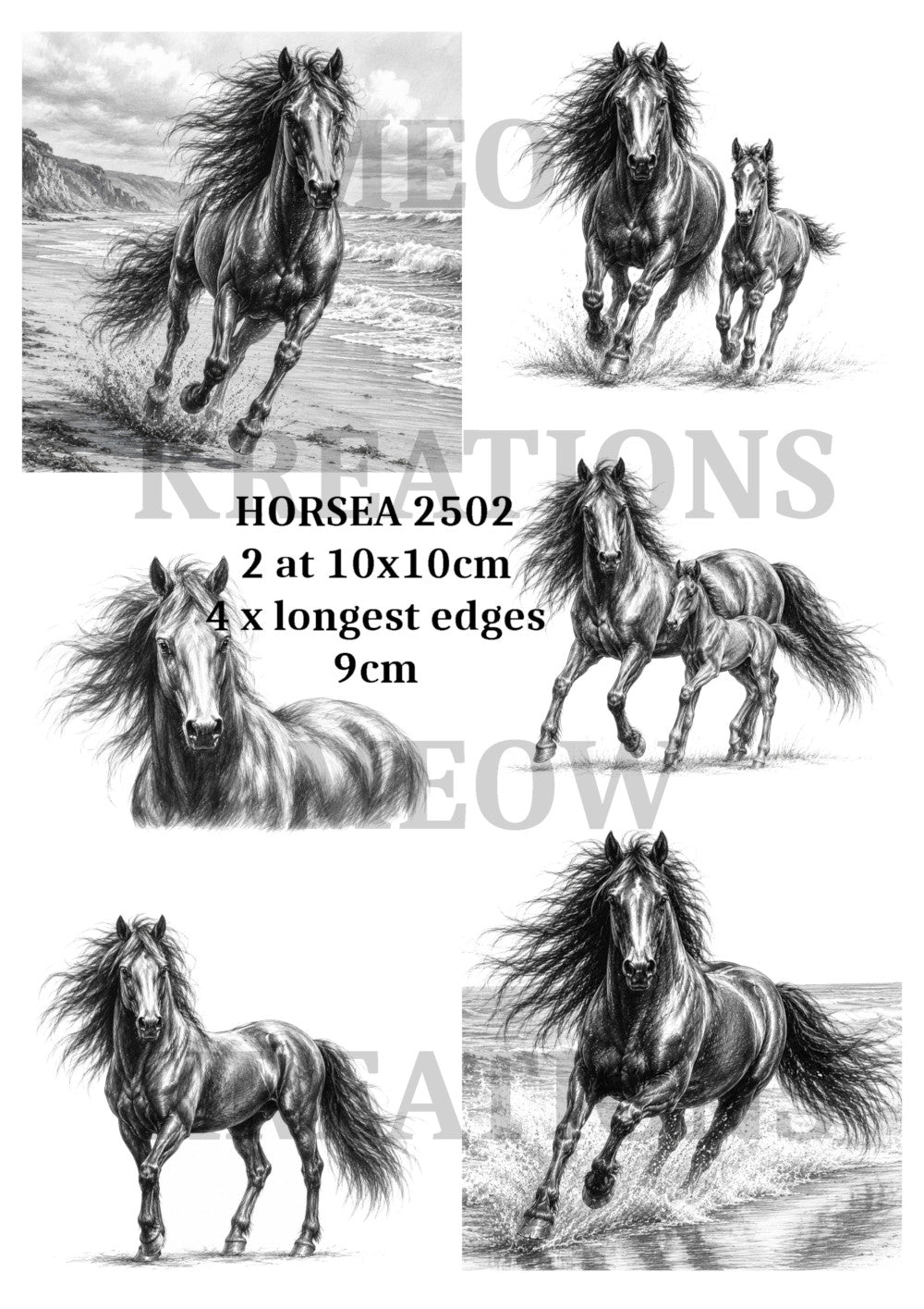 HORSEA 2502