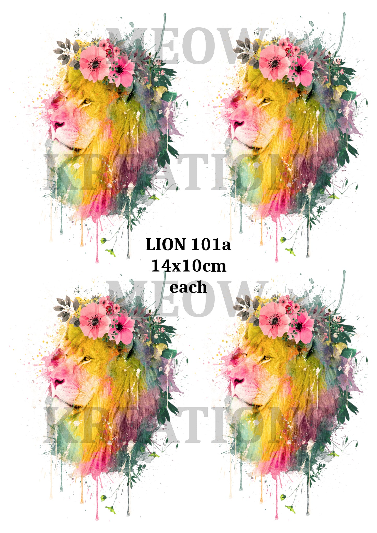LEÓN 101