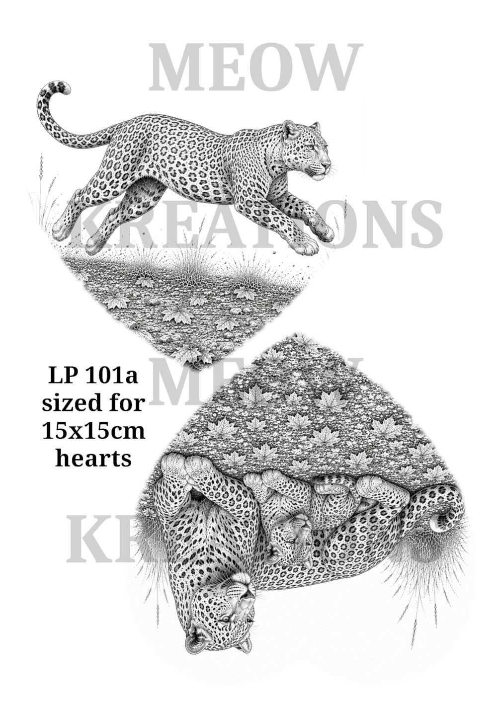 LP 101a