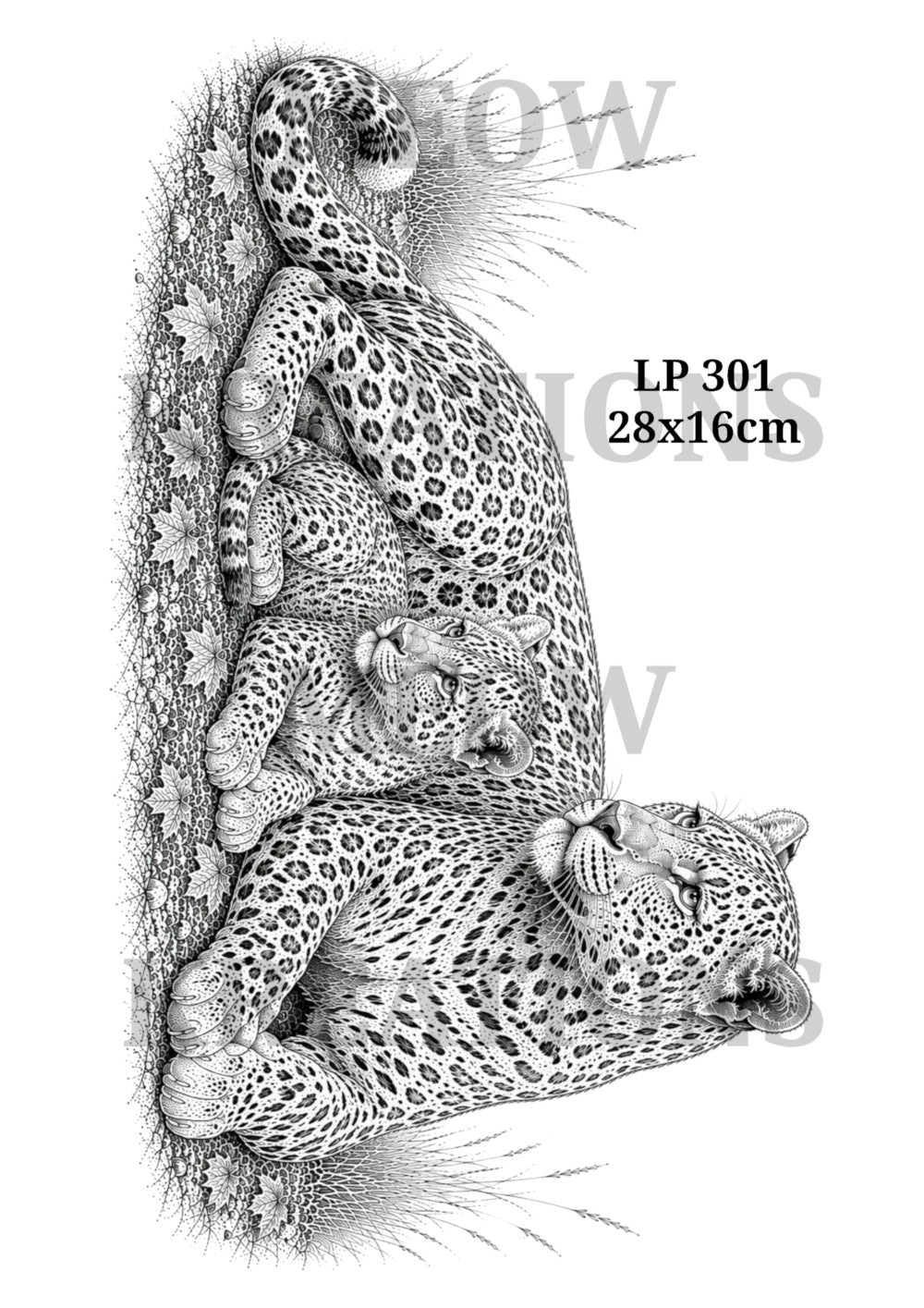 LP 301