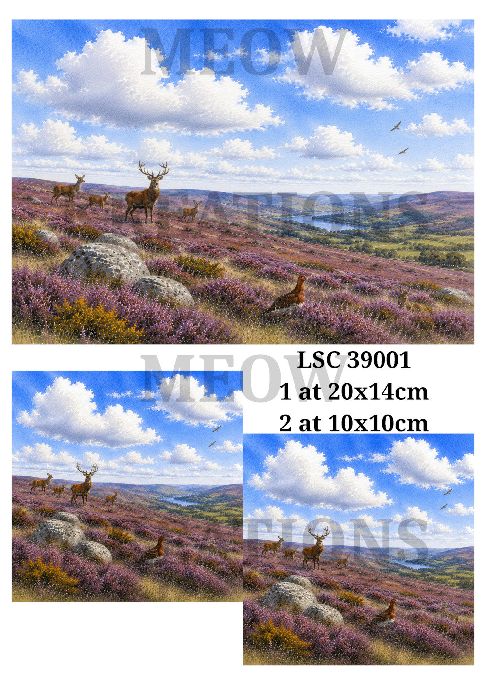 LSC6004