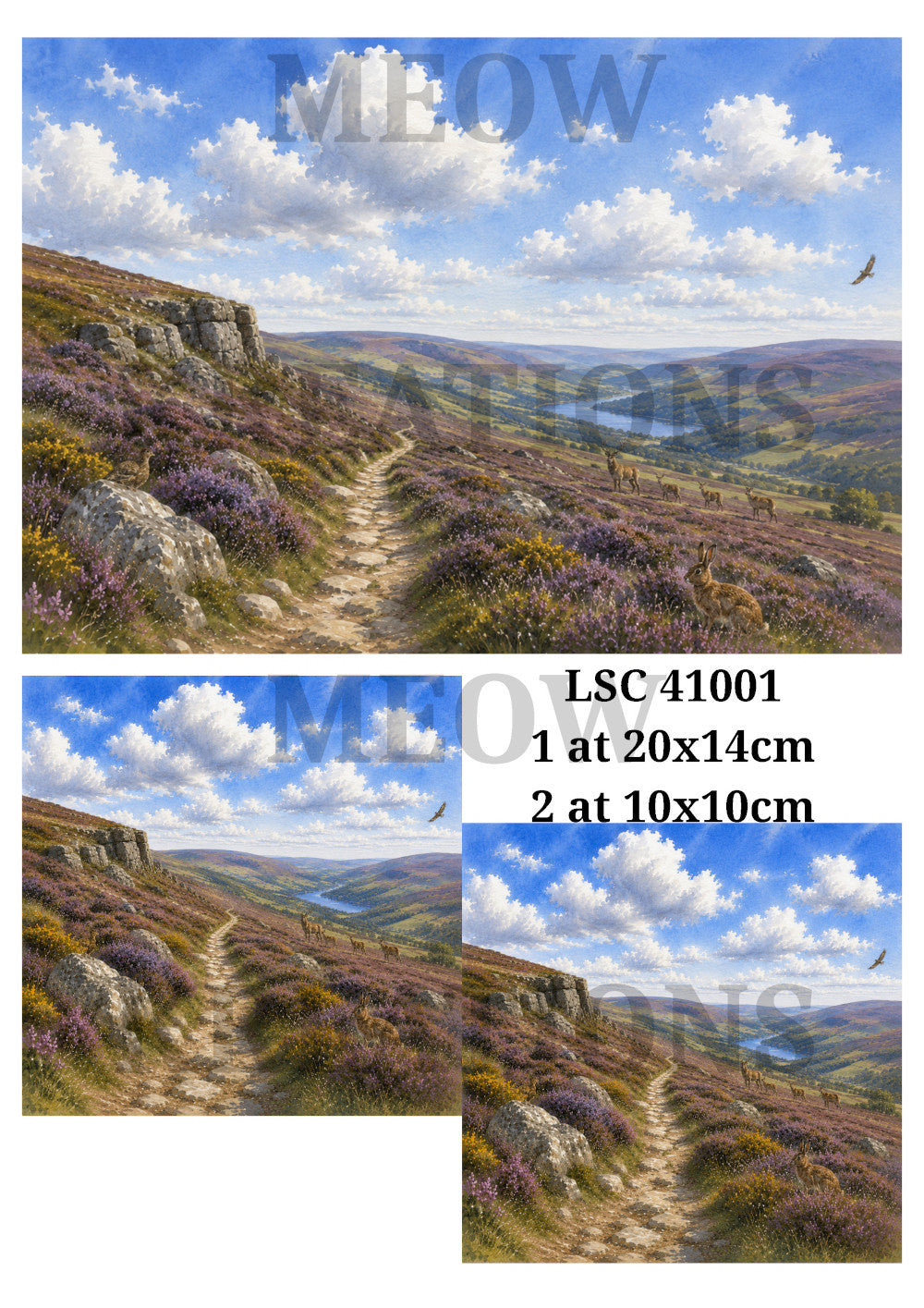 LSC 41001