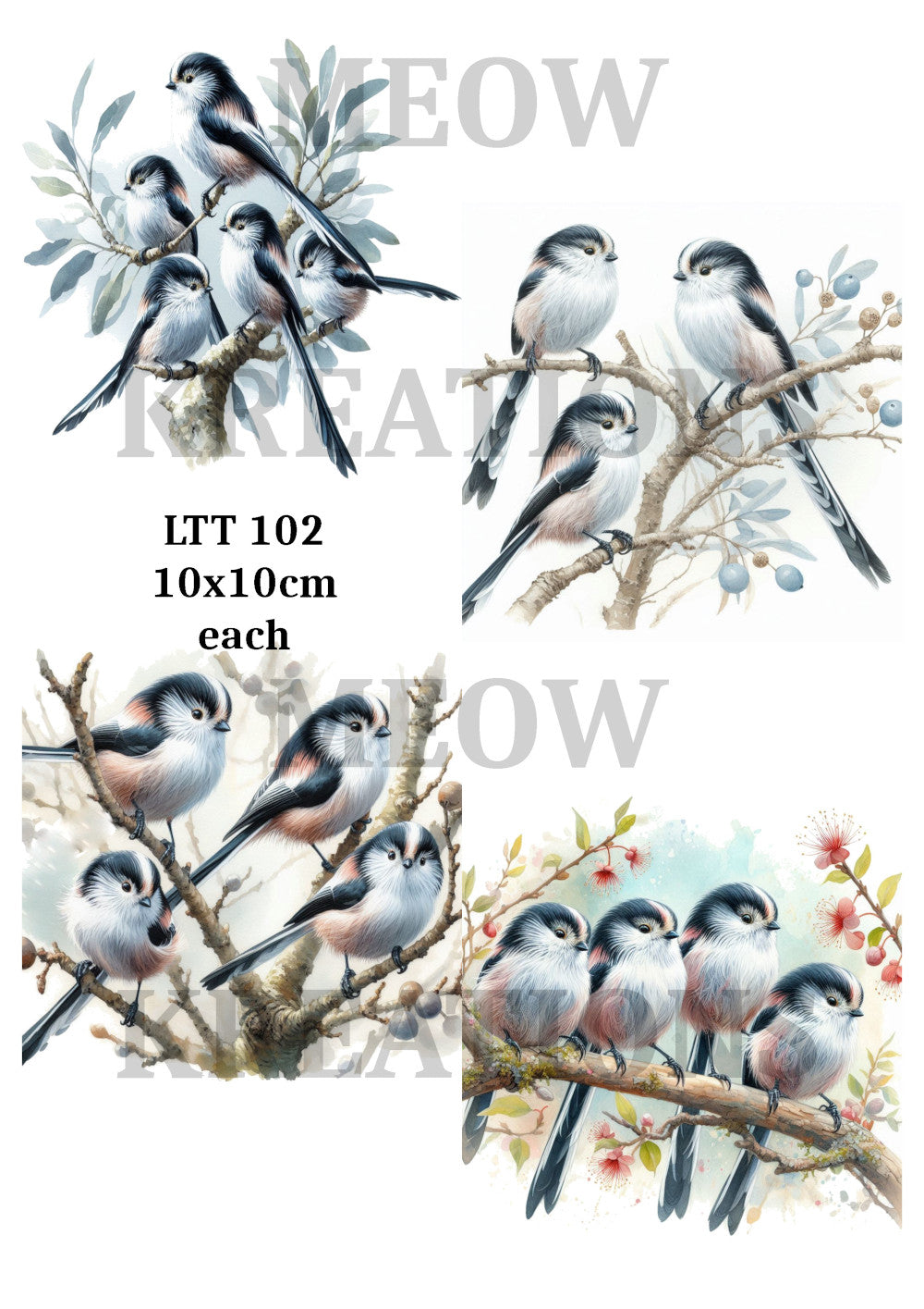 LTT 102