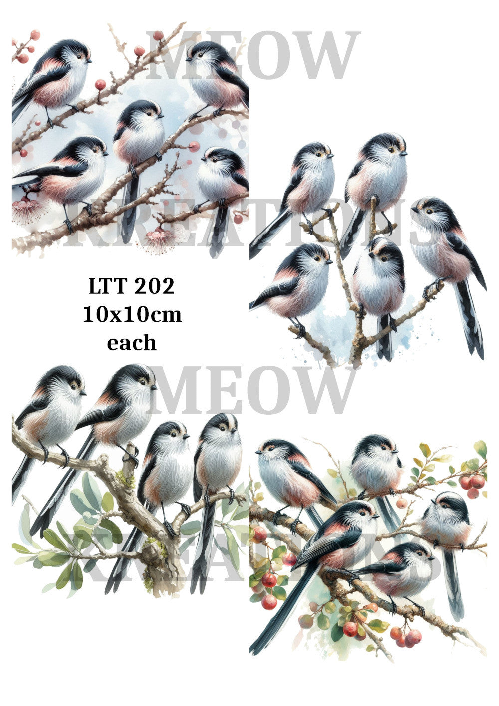 LTT 202