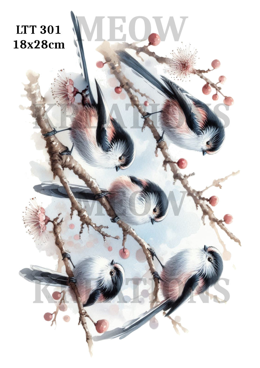 LTT 301