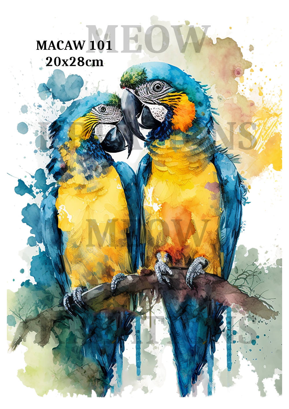 MACAW 101