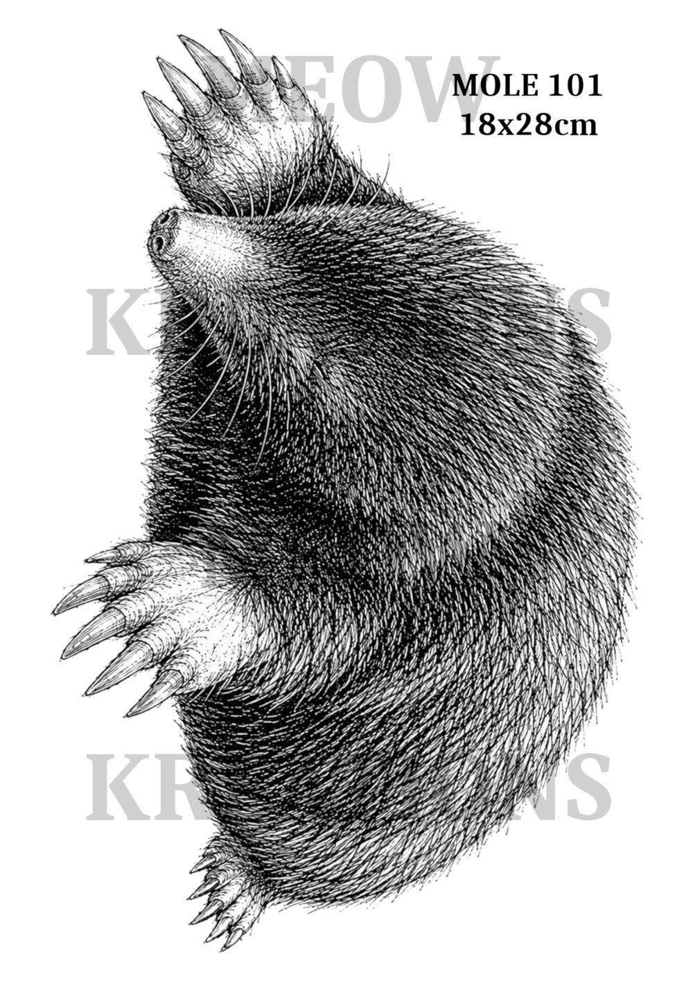 MOLE 101