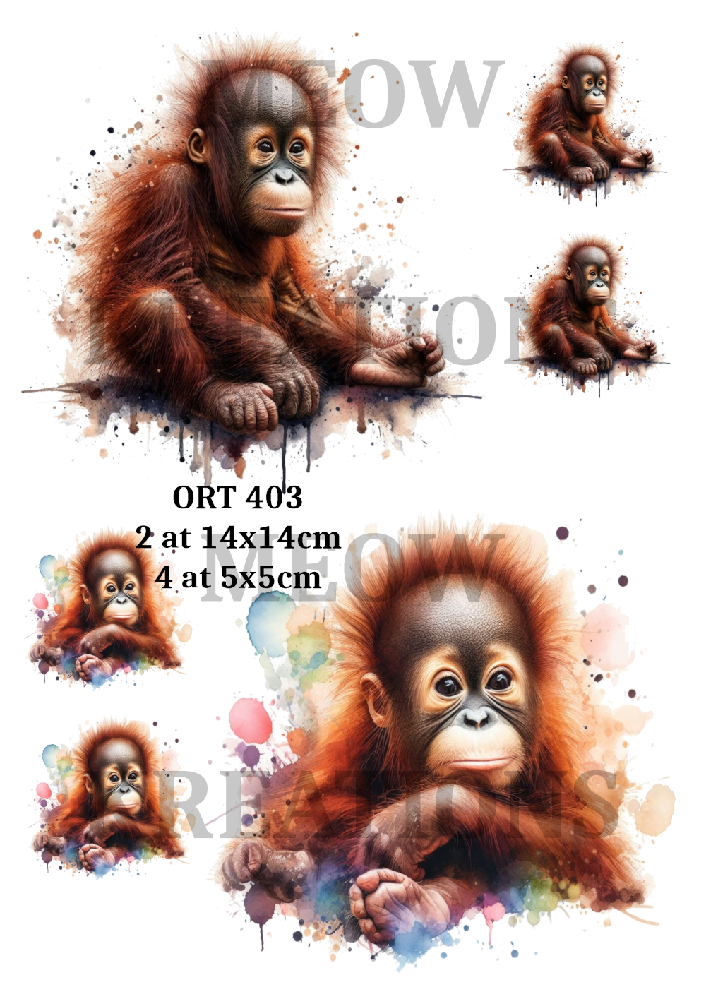 ORT 403