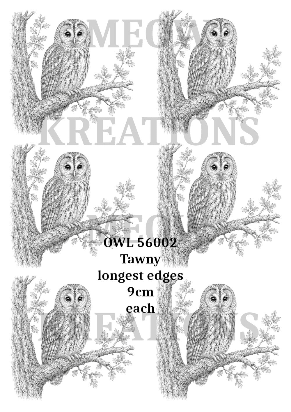 OWL56002