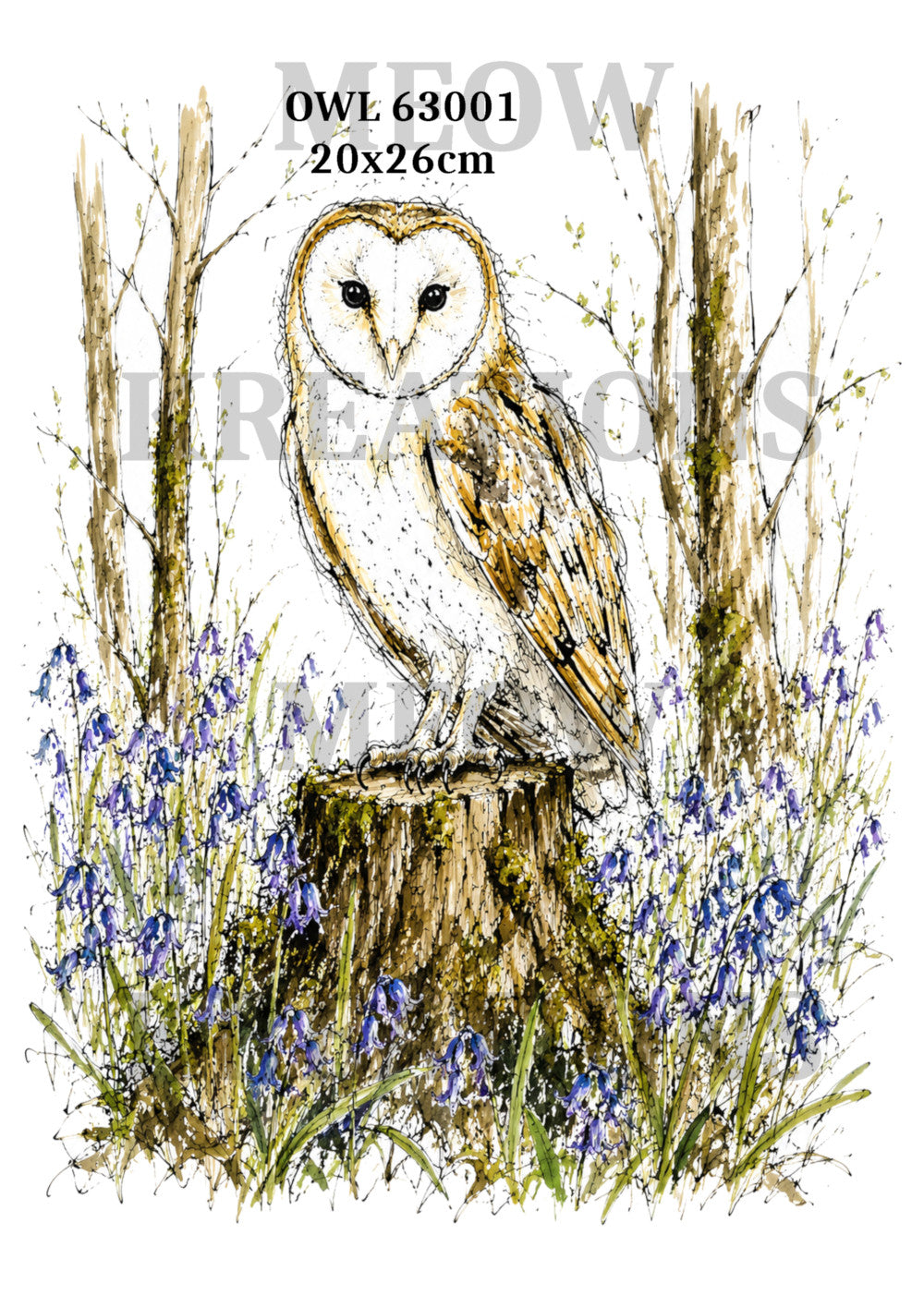 OWL 63001
