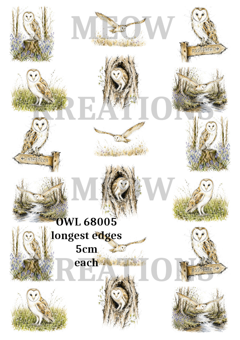 OWL 68005