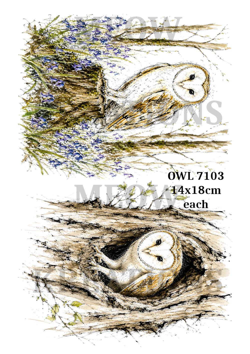 OWL 71003