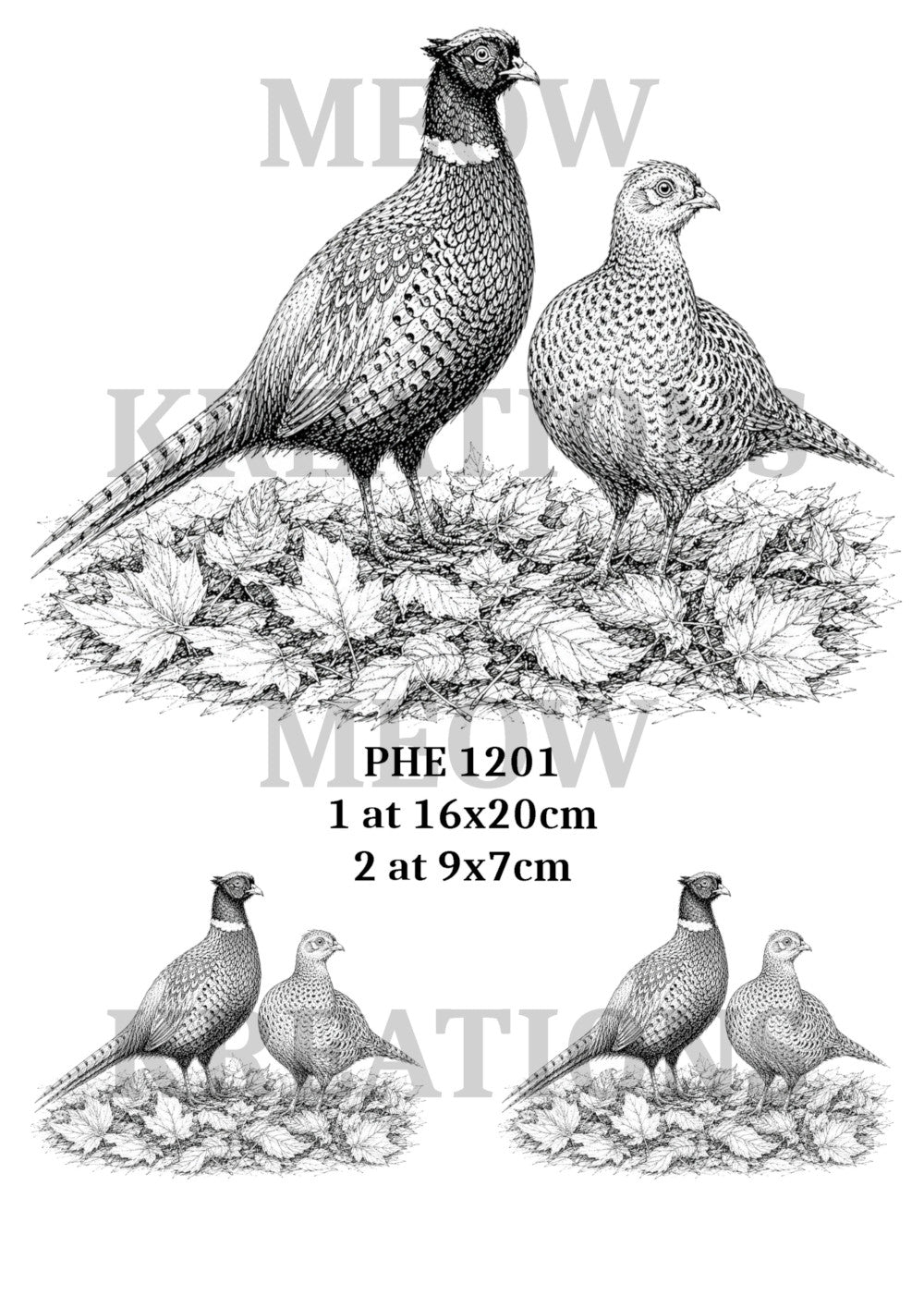 PHE 1201